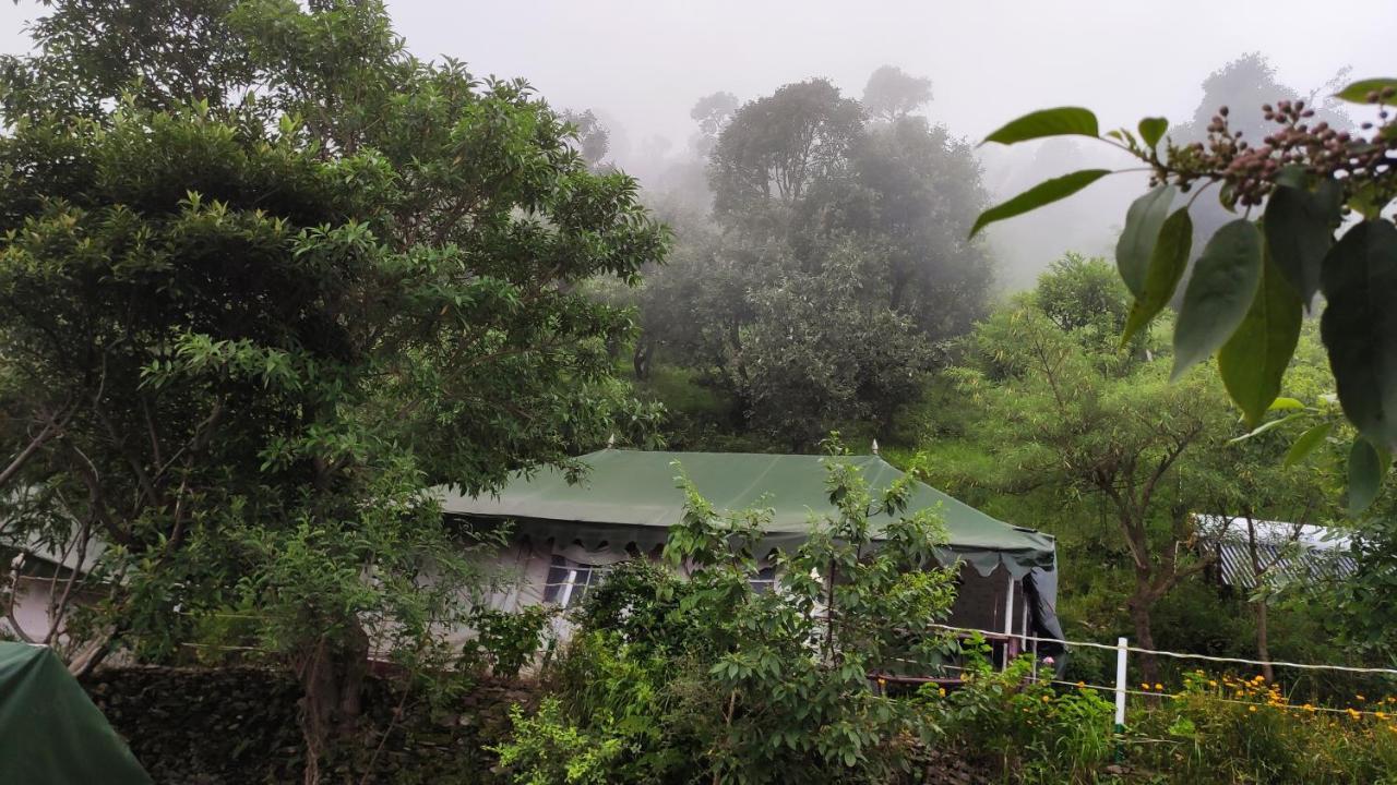 Nature Drops, Pangot Nainital Zewnętrze zdjęcie