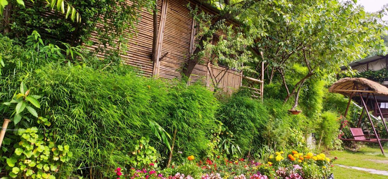 Nature Drops, Pangot Nainital Zewnętrze zdjęcie